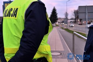 Policjant stojący przy drodze