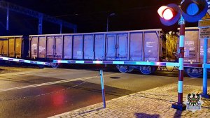 Na zdjęciu przejeżdżający pociąg na torowisku z zaporami.