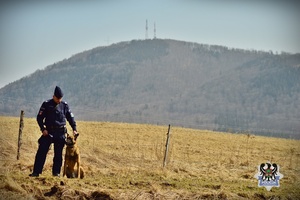 Na zdjęciu przewodnik z psem służbowym - zdjęcie nr  4