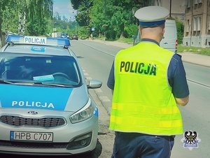 Na zdjęciu policjant obserwujący przejście dla pieszych.