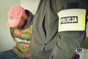 Na zdjeciu zabezpieczony krzew konopi indyjskich.