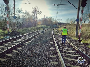 Na zdjęciu pociąg na torowisku.