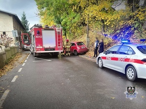 Na zdjęciu pojazdy ratownicze na miejscu zdarzenia.