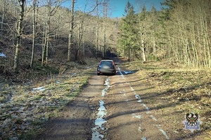 Na zdjęciu miejsce porzucenia pojazdu.