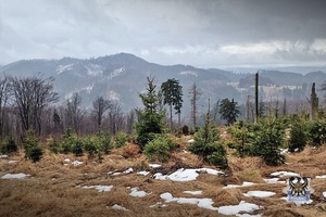 Na zdjęciu policjantki biorące udział w Mieroszowskiej Wyrypie.