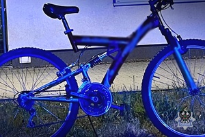Na zdjęciu rower