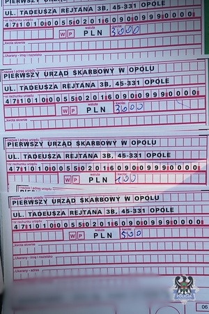 Na zdjęciu seria blankietów mandatów karnych.