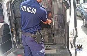 Na zdjęciu policjant zamyka zatrzymanego w radiowozie.