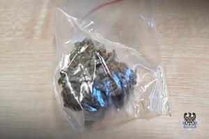 Na zdjęciu zabezpieczone narkotyki w postaci marihuany.