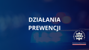 Działania służby prewencyjnej w 2024 roku - podsumowanie ogólnokrajowe