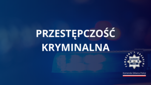 Zwalczanie przestępczości kryminalnej - podsumowanie ogólnokrajowe