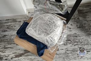 Na zdjęciu zabezpieczone narkotyki w postaci marihuany.