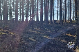 Na zdjęciu policjanci podczas ćwiczeń w terenie.