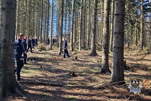 Na zdjęciu policjanci podczas ćwiczeń w terenie.