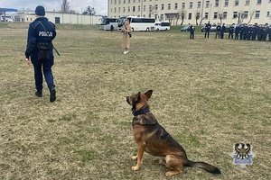 Na zdjęciu policjantka podczas pokazu psa służbowego.
