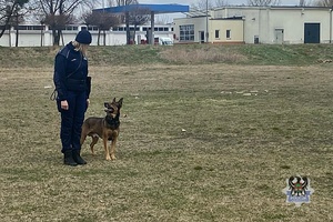 Na zdjęciu policjantka podczas pokazu psa służbowego.