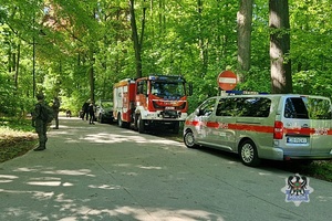 Na zdjęciu uczestnicy działań ratowniczych na terenie Książąńskiego Parku Krajobrazowego.
