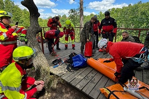 Na zdjęciu uczestnicy działań ratowniczych na terenie Książąńskiego Parku Krajobrazowego.