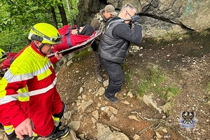 Na zdjęciu uczestnicy działań ratowniczych na terenie Książąńskiego Parku Krajobrazowego.