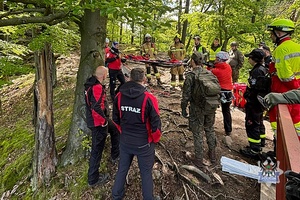 Na zdjęciu uczestnicy działań ratowniczych na terenie Książąńskiego Parku Krajobrazowego.