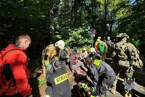 Na zdjęciu uczestnicy działań ratowniczych na terenie Książąńskiego Parku Krajobrazowego.