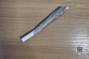Na zdjęciu namiot do produkcji konopi indyjskich.