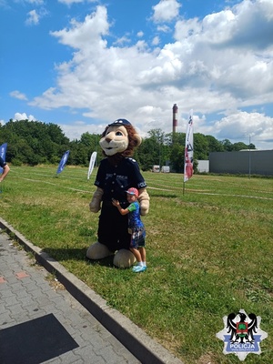 zdjęcia  z festynów i pikników z udziałem policjantów
