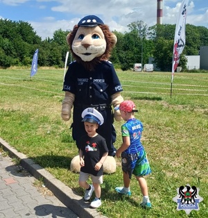 zdjęcia  z festynów i pikników z udziałem policjantów