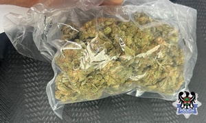 zabezpieczona  marihuana