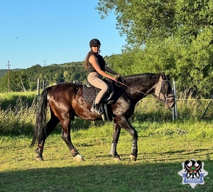Zdjęcia policjantki