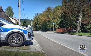 Na zdjeciu radiowóz w rejonie przejścia dla pieszych.