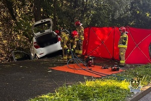 Na zdjęciu parawan oraz uszkodzony w wyniku wypadku samochód oraz strażacy.