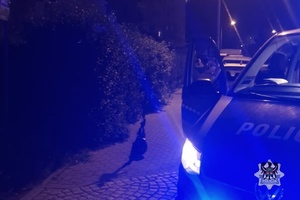 Na zdjęciu radiowóz i hulajnoga.