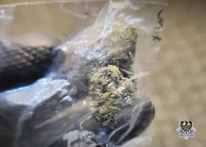 Na zdjęciu narkotyki w postaci marihuany.