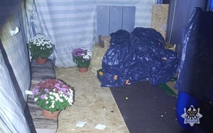 Na zdjęciu miejsce kradzieży kwiatów.