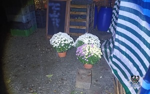Na zdjęciu miejsce kradzieży kwiatów.