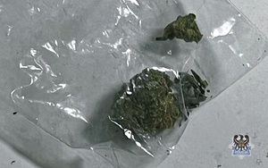 Na zdjęciu narkotyki w postaci marihuany.