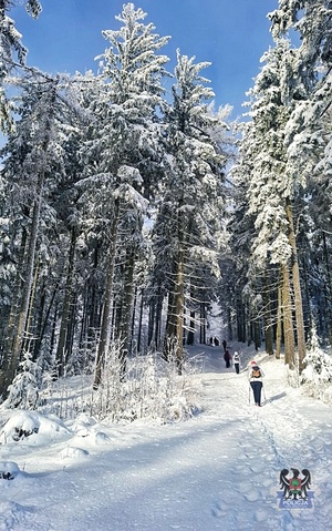 Widoki w trakcie wyjścia policjantek i pracownic wałbrzyskiej komendy na Trójgarb.