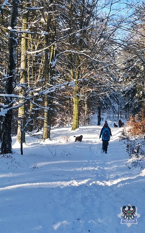 Widoki w trakcie wyjścia policjantek i pracownic wałbrzyskiej komendy na Trójgarb.