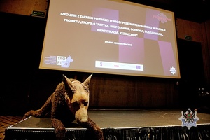 Na zdjeciu uczestnicy szkolenia Tropik