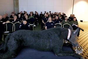 Na zdjeciu uczestnicy szkolenia Tropik