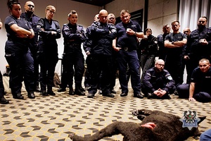 Na zdjeciu uczestnicy szkolenia Tropik