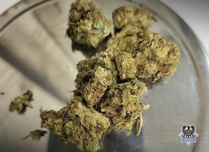 Policjanci odwiedzili jeden z budynków na Sobięcinie i zatrzymali dwie osoby za posiadanie narkotyków