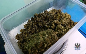 Na zdjęciu zabezpieczone narkotyki w postaci marihuany.