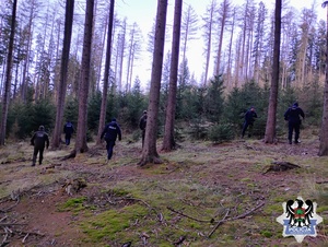 Zdajcia z działań Choinka