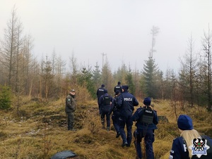 Zdajcia z działań Choinka