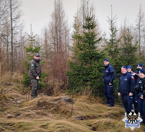 „CHOINKA” – KOLEJNE WSPÓLNE DZIAŁANIA SŁUŻB NA RZECZ OCHRONY LASÓW