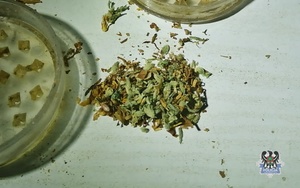 Na zdjęciu zabezpieczone narkotyki w postaci marihuany oraz pudełko.