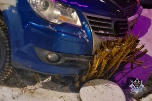 Na zdjeciu samochód, który wjechał w krzaki.