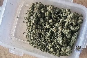 Na zdjęciu zabezpieczone narkotyki w postaci marihuany.